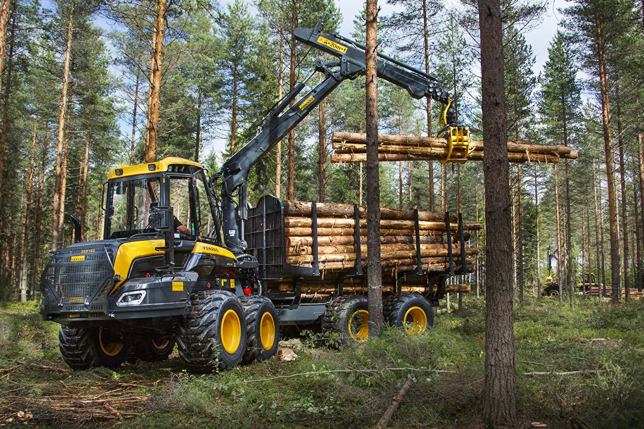 Классификация современной лесозаготовительной техники: от валки до транспортировки