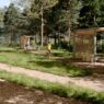 Лесопарк "Дубки" в Апрелевке откроют после благоустройства в 2024 году